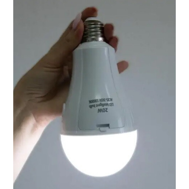 Лампа кемпинг в цоколь E27, 20W, 2x18650, AC/DC, 8440