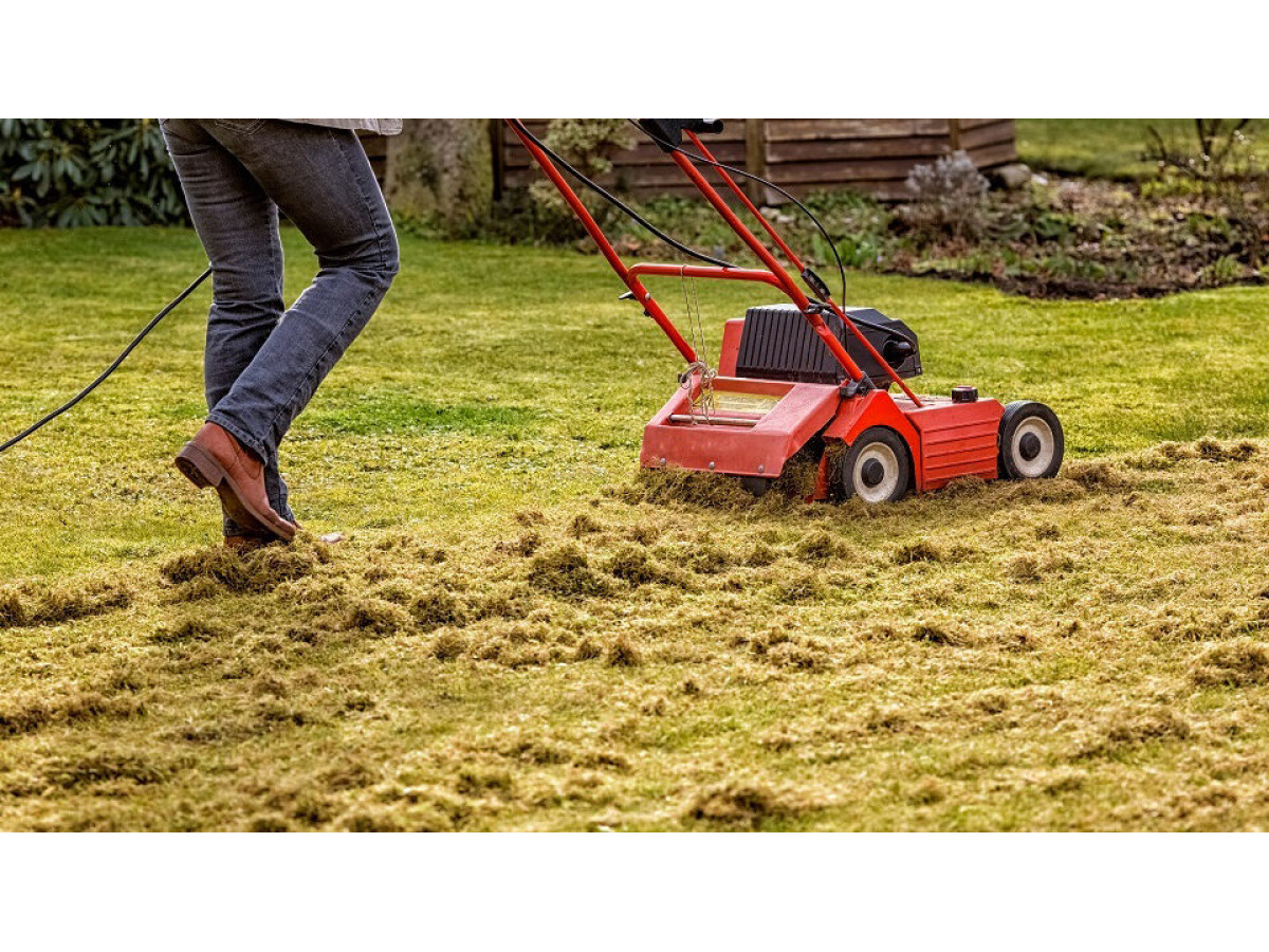 Когда и как часто следует использовать скарификатор ?