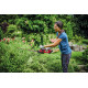Кущоріз акумуляторний Einhell GC-CH 18/40 Li - Solo (3410940)