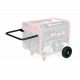 Генератор бензиновый Einhell TC-PG 8000 (4152640)