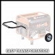 Генератор бензиновый Einhell TC-PG 65/E5 (4152610)