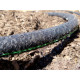 Крапельний шланг 1/2 Garden Line 30М LAR3863