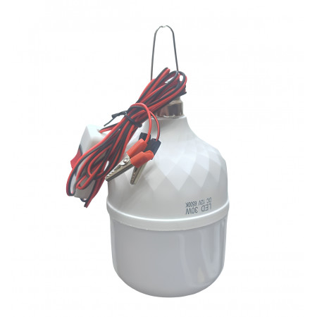 Светодиодная LED лампочка PL DC15, 15W