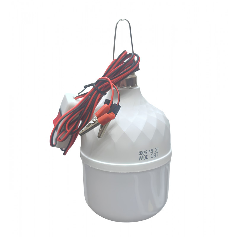Светодиодная LED лампочка PL DC30, 30W